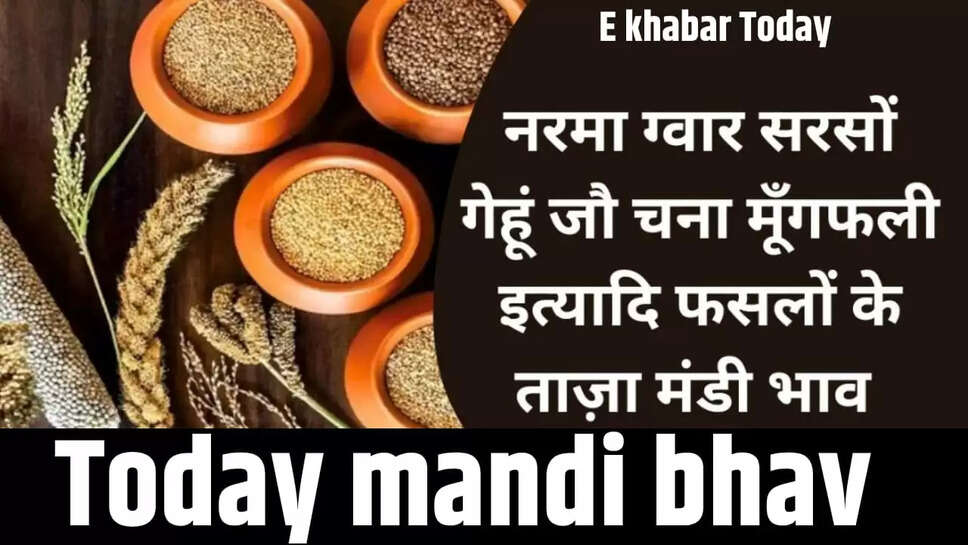 Today mandi bhav