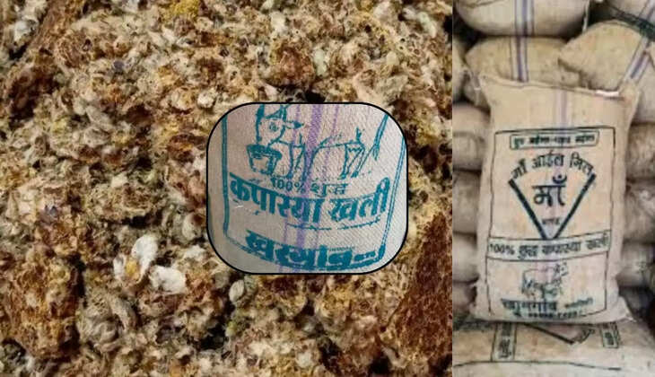 animal feed kapasiya oil 