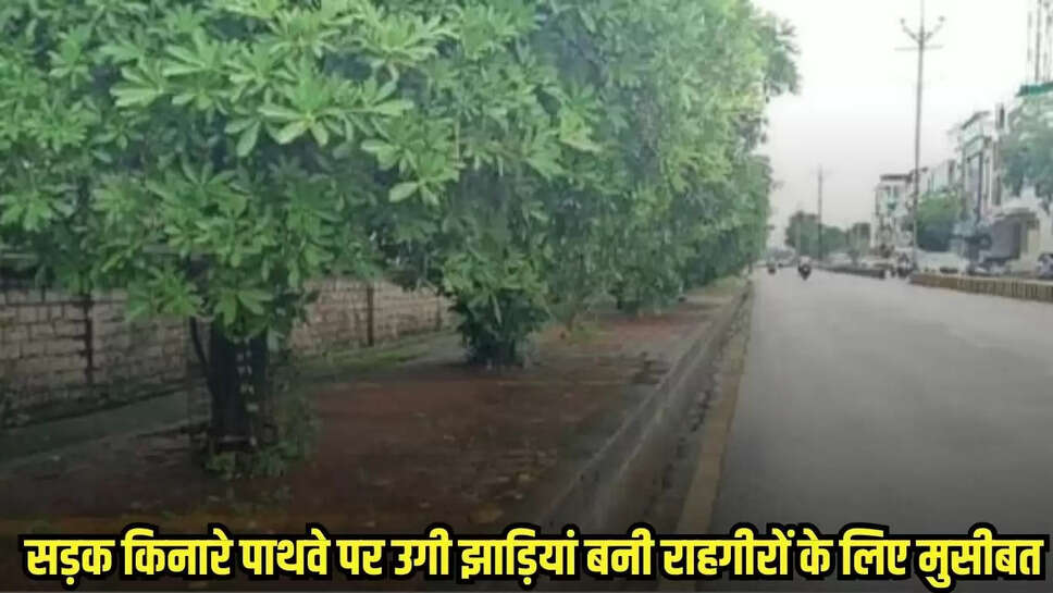 Mandsaur news, MP news,
