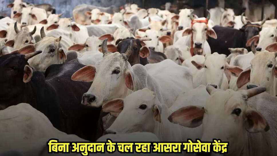 Tikamgarh News