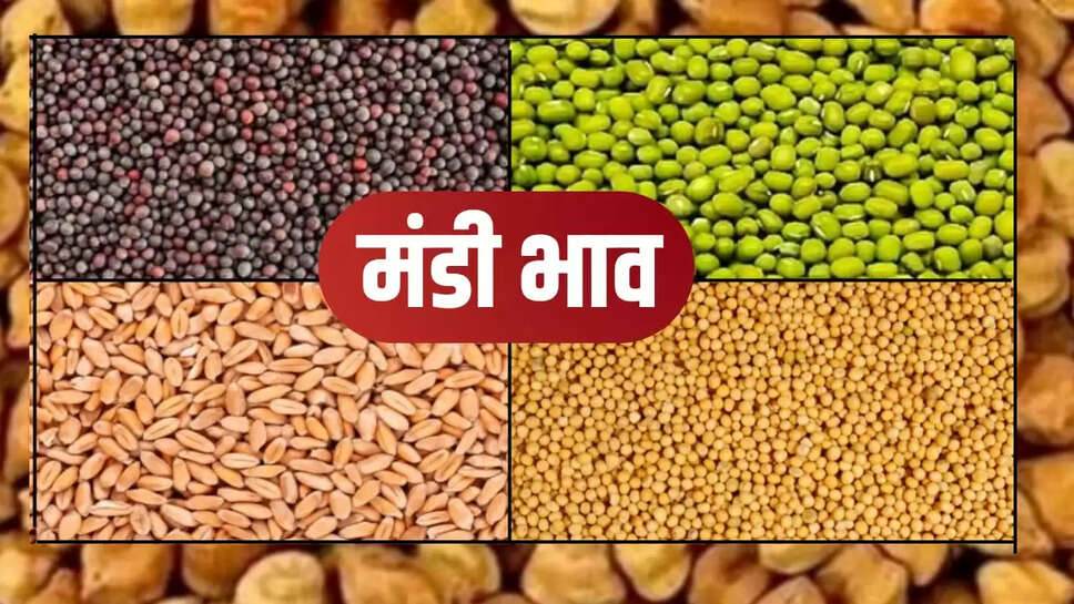 Today mandi bhav