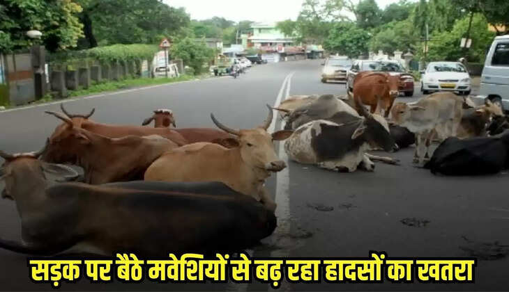 Chhatarpur news, MP news,