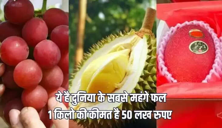  सबसे महंगे फल