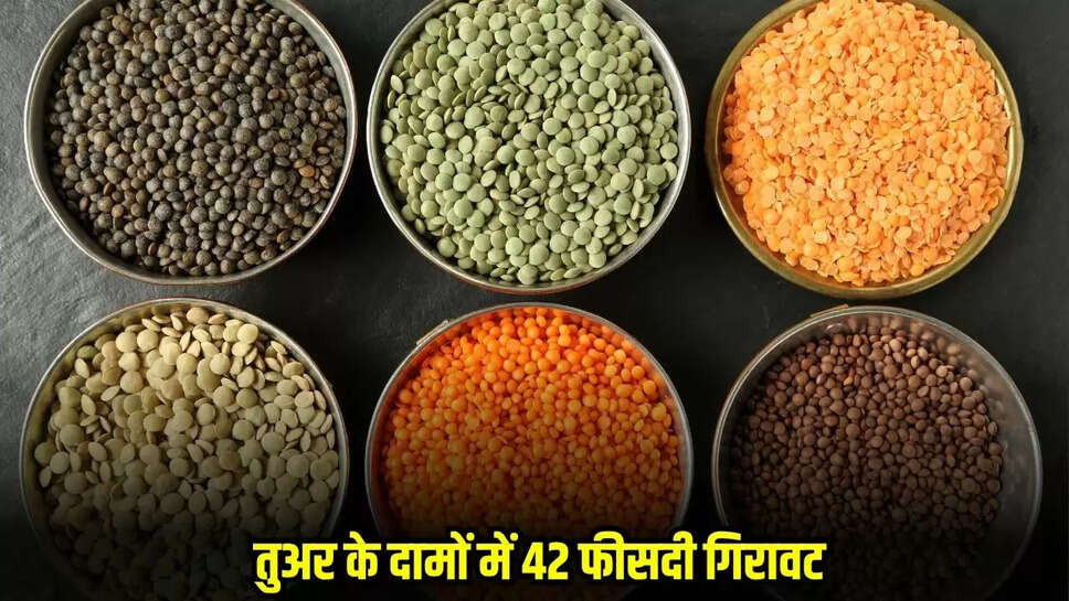 Mandsaur News