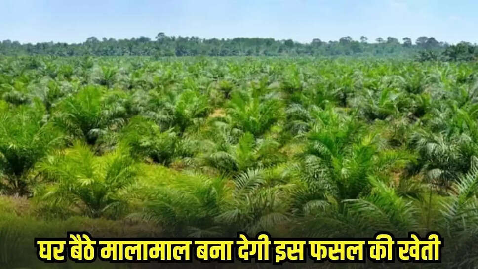 Agriculture news