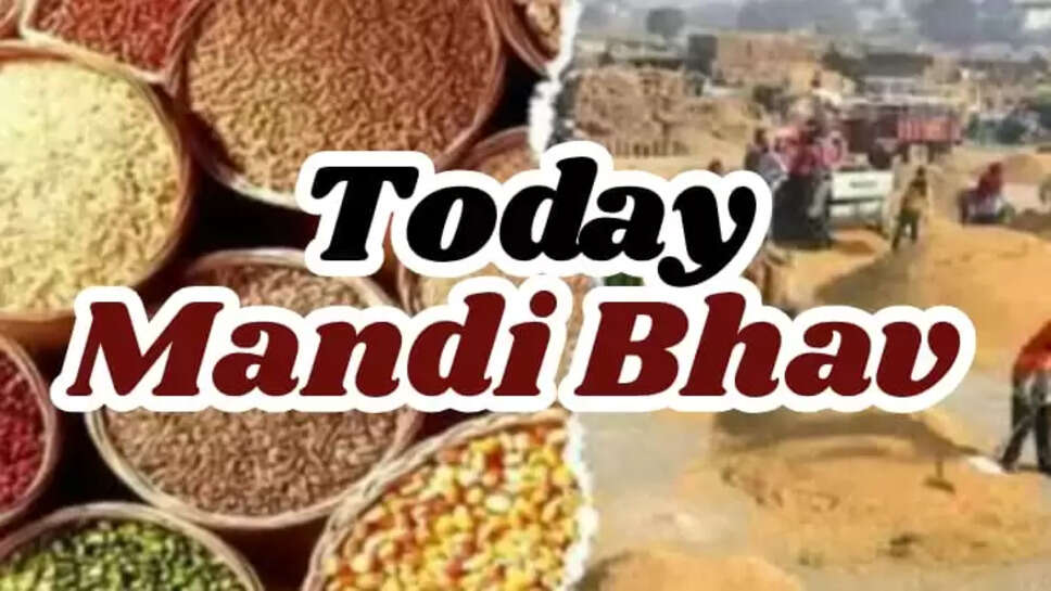 Today Mandi Bhav