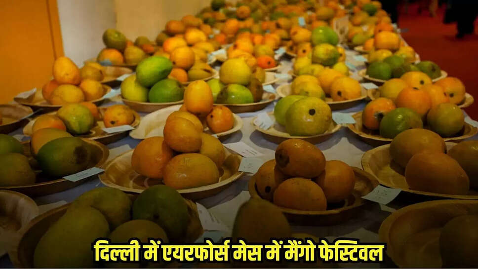 Mango Festival