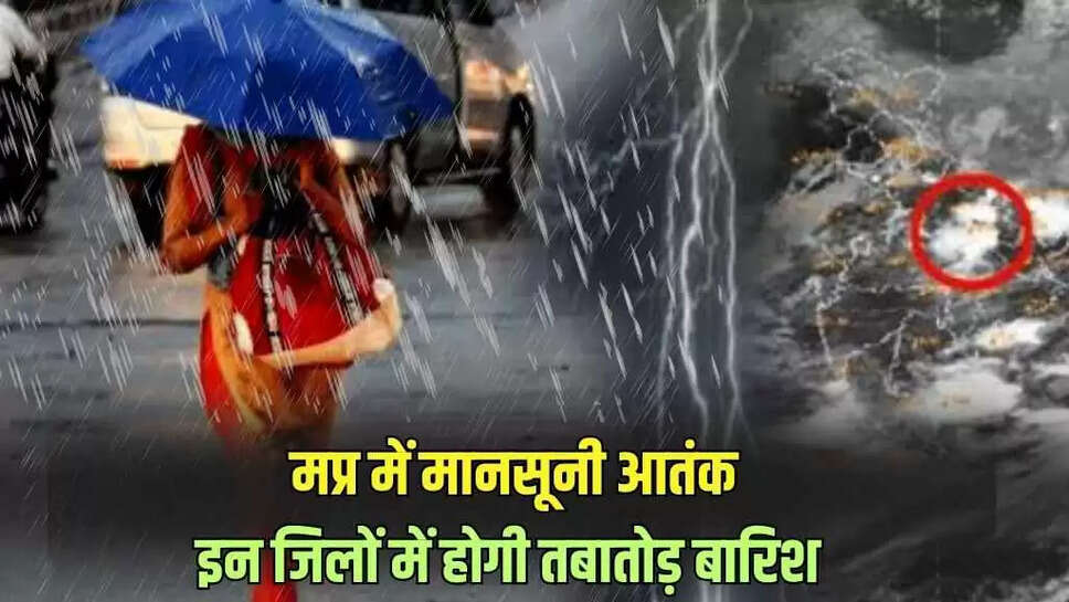 Mp news