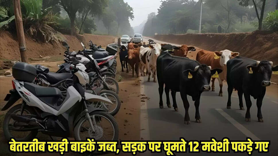 Burhanpur news, MP news,