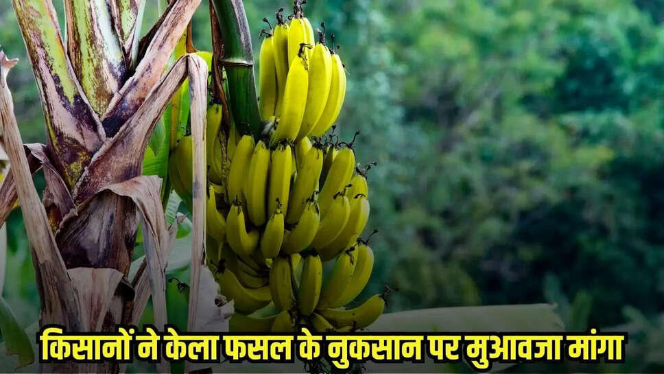 Burhanpur News