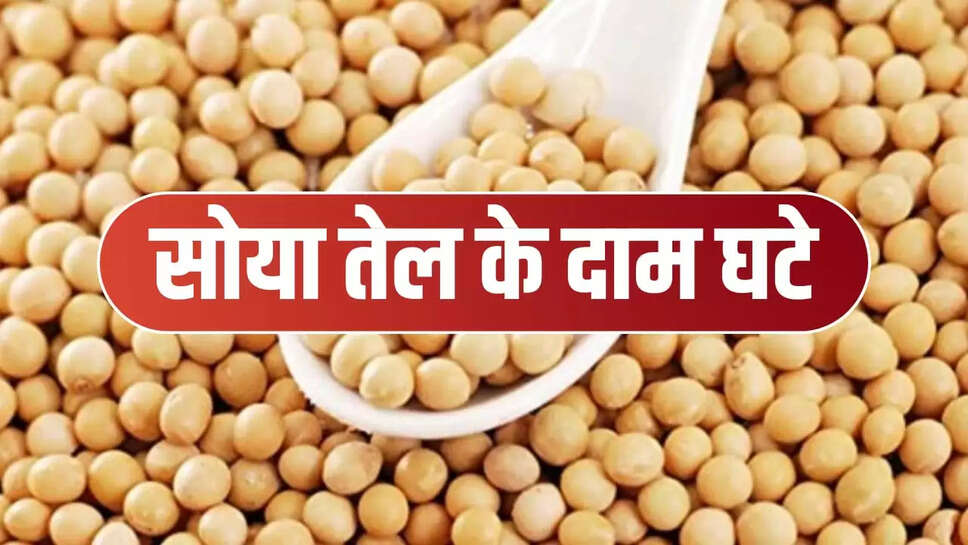 soya oil prices