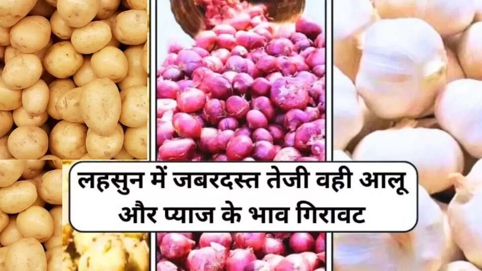 potato, onion, garlic prices