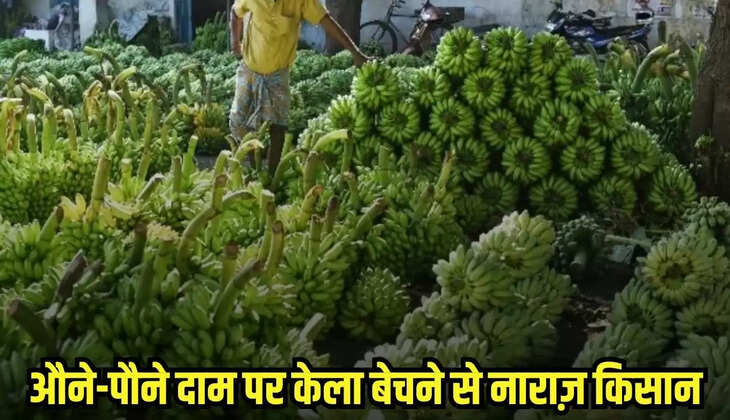 Burhanpur news, MP news,