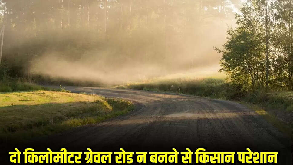 MP News