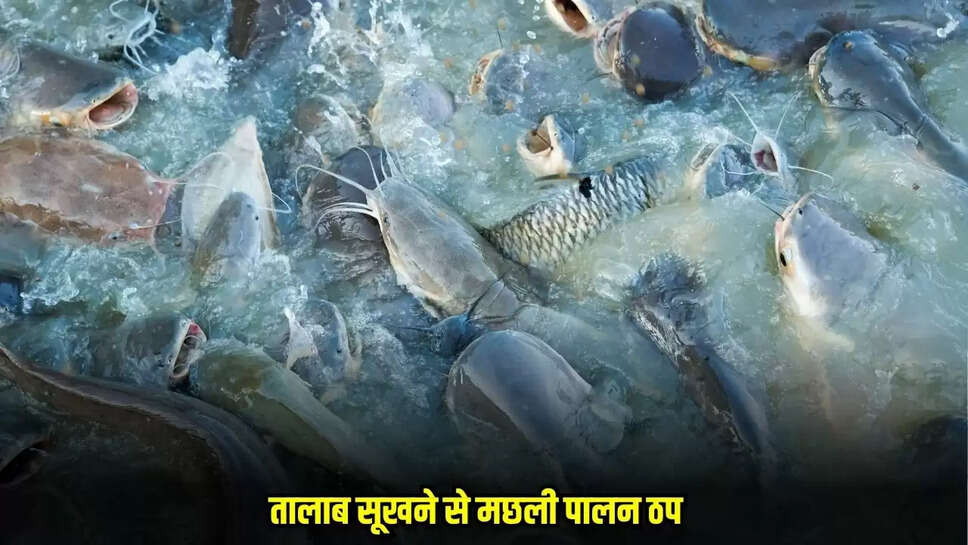 Chhatarpur News