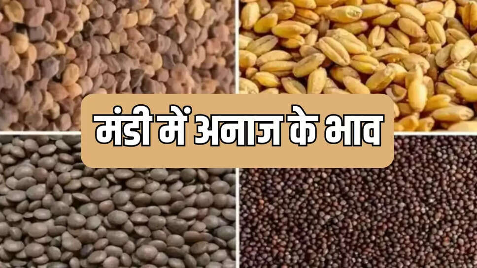 मक्का, सोयाबीन, गेहूं ,धनिया, मेथी, जौ, सरसों