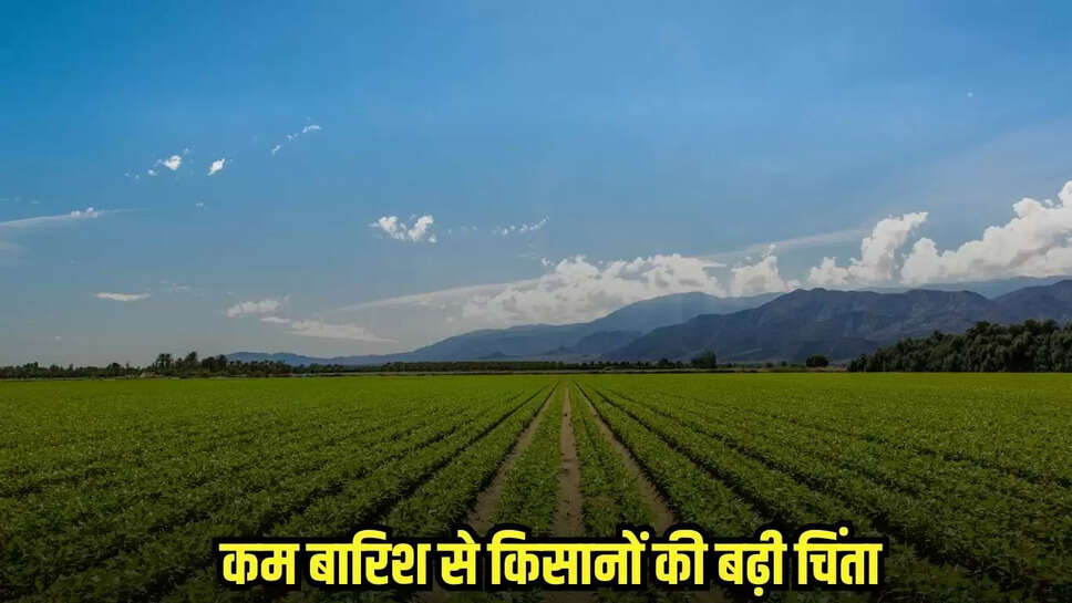 Dhaar news, MP news,