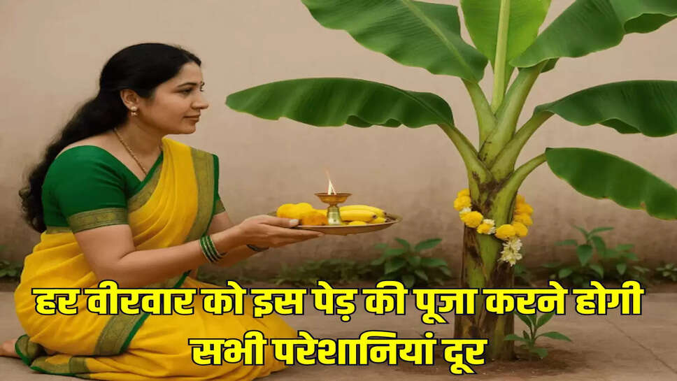 हर वीरवार को इस पेड़ की पूजा करने होगी सभी परेशानियां दूर