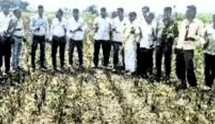 भावांतर योजना