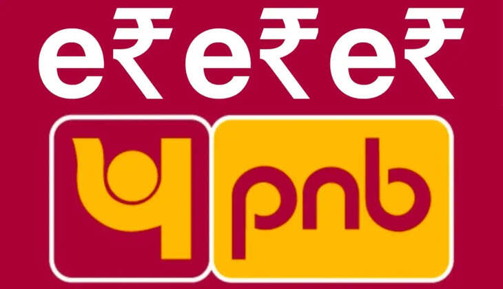 digital currency PNB