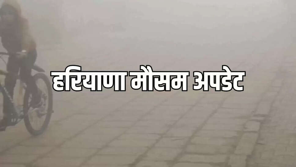 पश्चिम विक्षोभ HARYANA NEWS