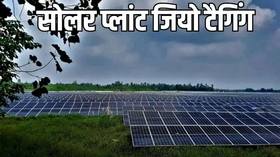solar plants 