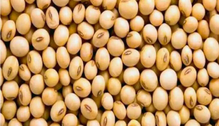  सोयाबीन की खरीदी भावांतर योजना