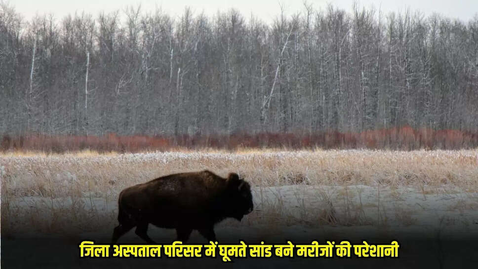 Guna News