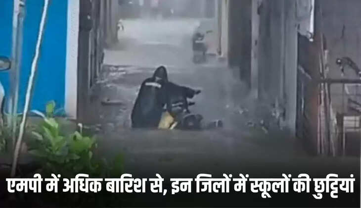  इन स्कूलों की छुट्टियां&nbsp;रहेगी