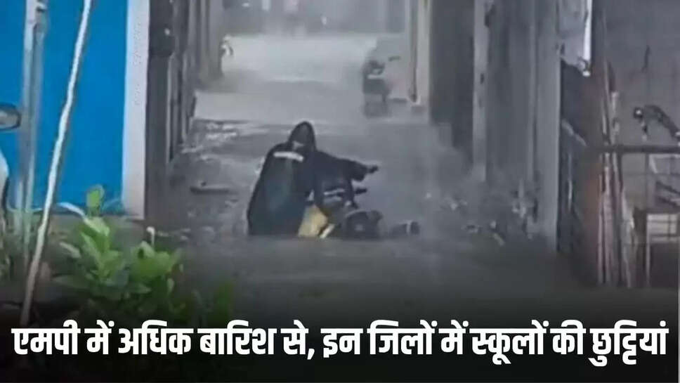  इन स्कूलों की छुट्टियां रहेगी