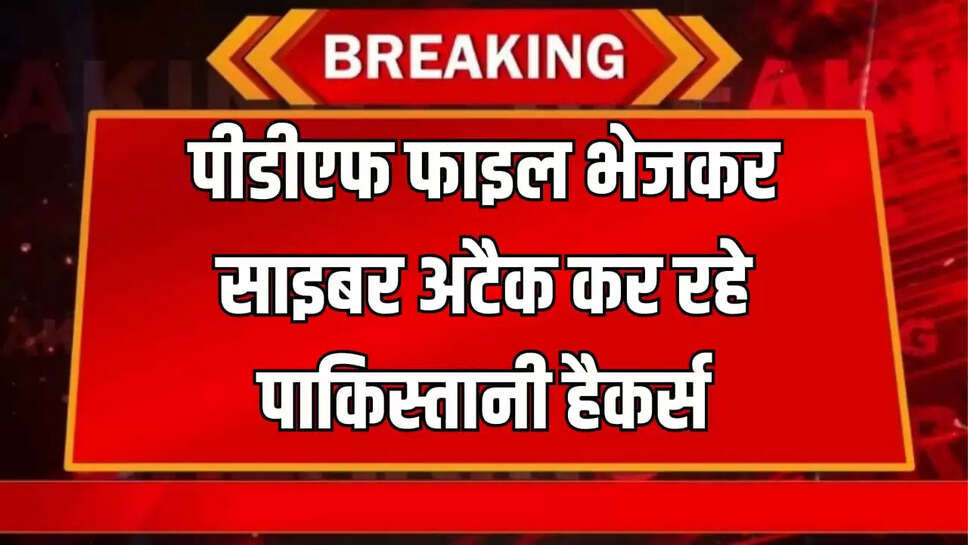  पाकिस्तानी हैकर्स 