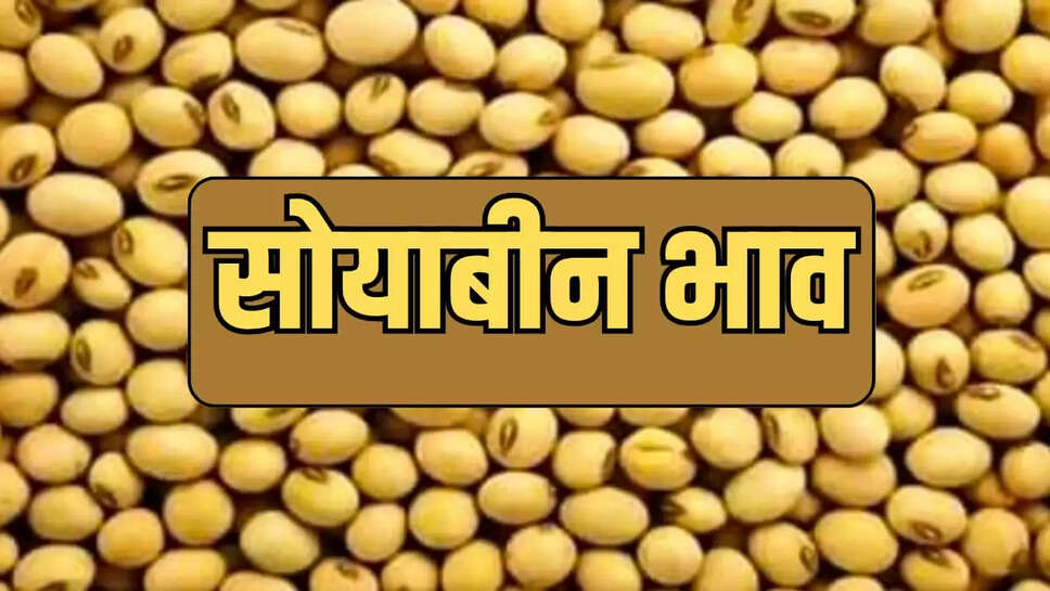 soybean prices