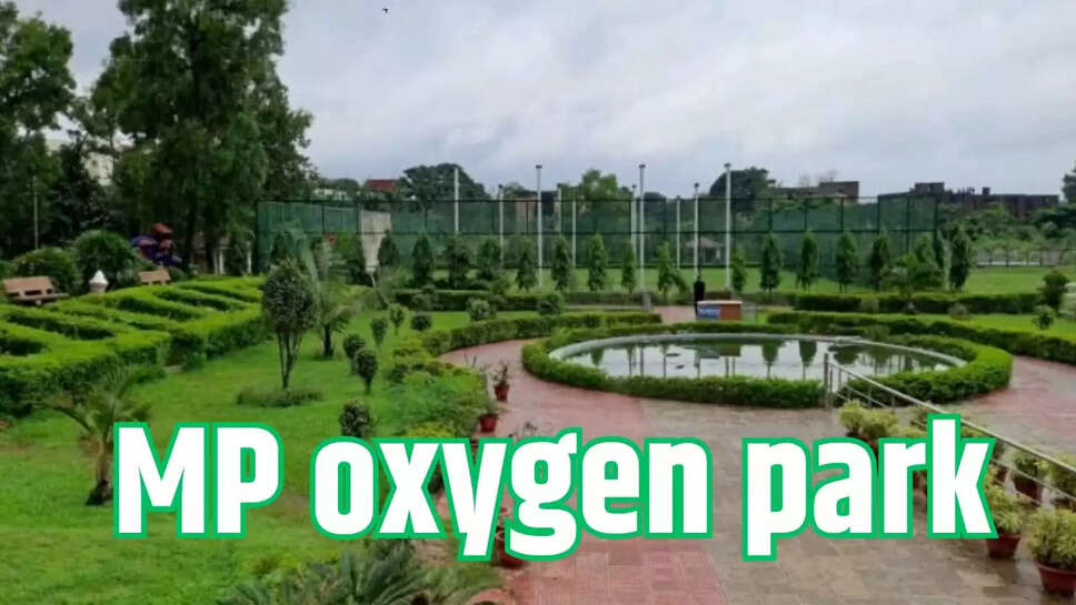  oxygen park 