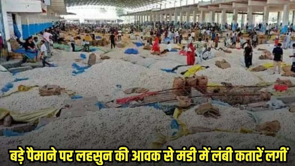 Mandsaur news, MP news,