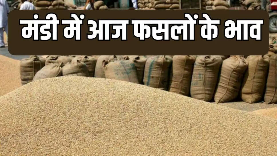 Todays crop prices