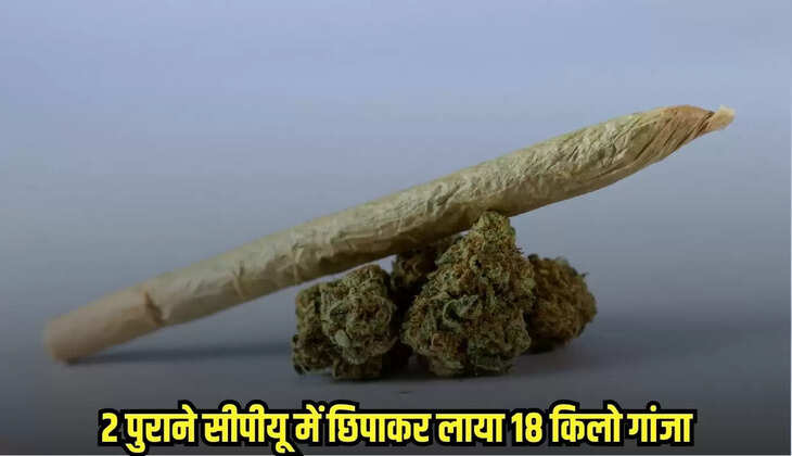 Damoh News