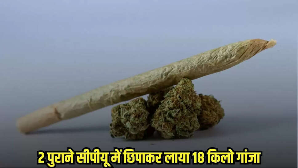 Damoh News