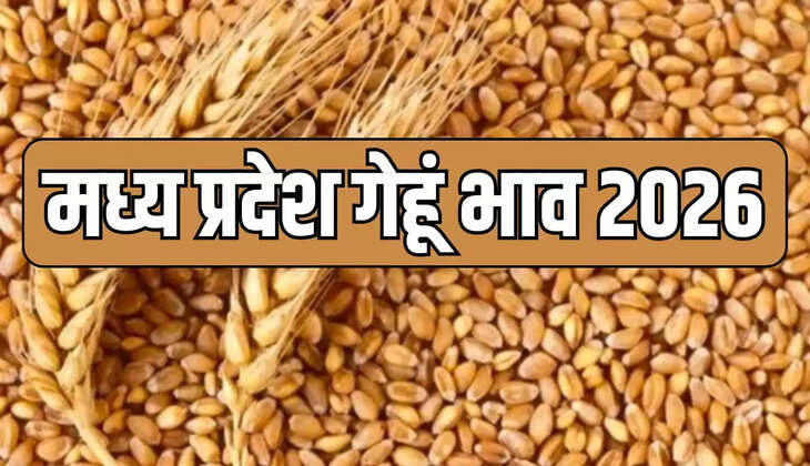  गेहूं खरीदी,मध्य प्रदेश,