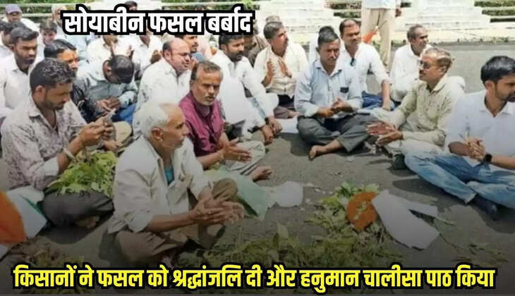 Neemuch news, MP news,