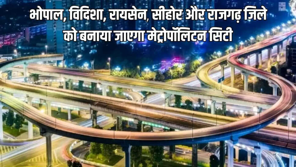 मेट्रोपोलिटन सिटी
