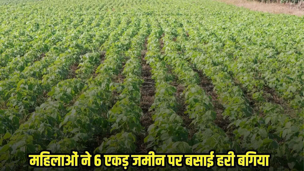 Chhatarpur News