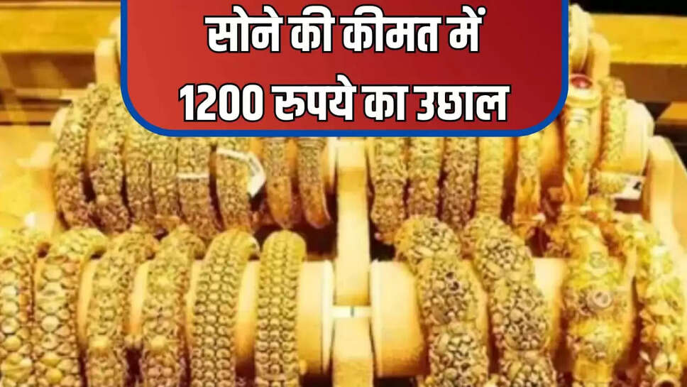 gold price rises