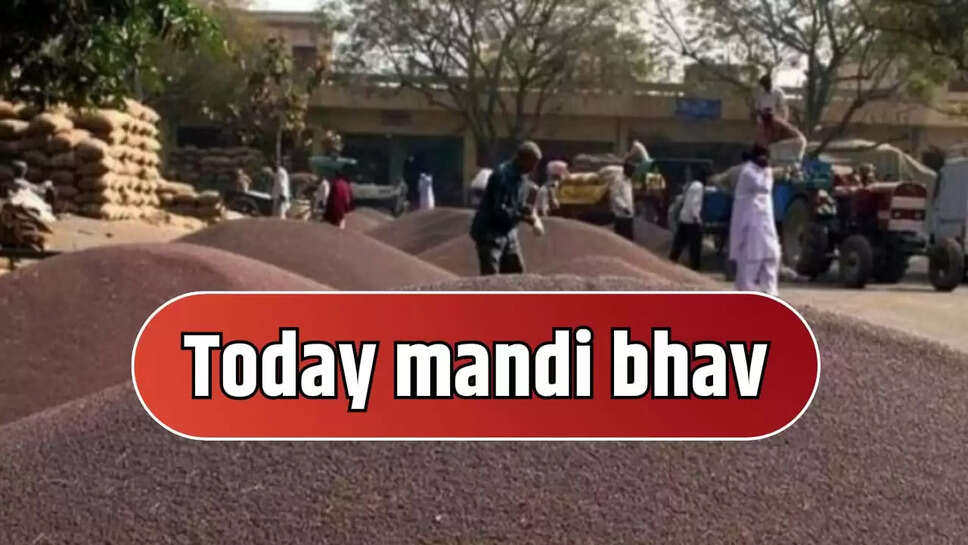 Today mandi bhav