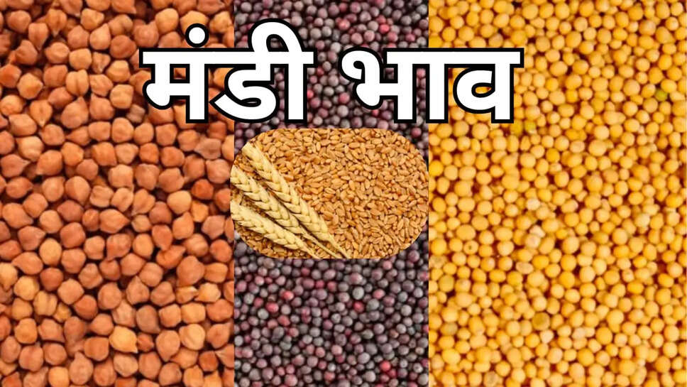 Today mandi bhav