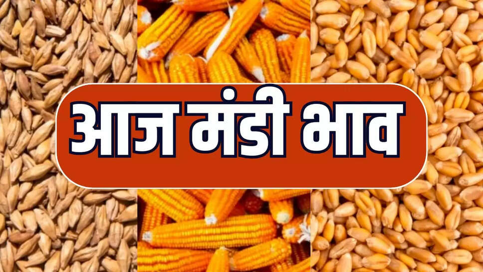 Today mandi bhav