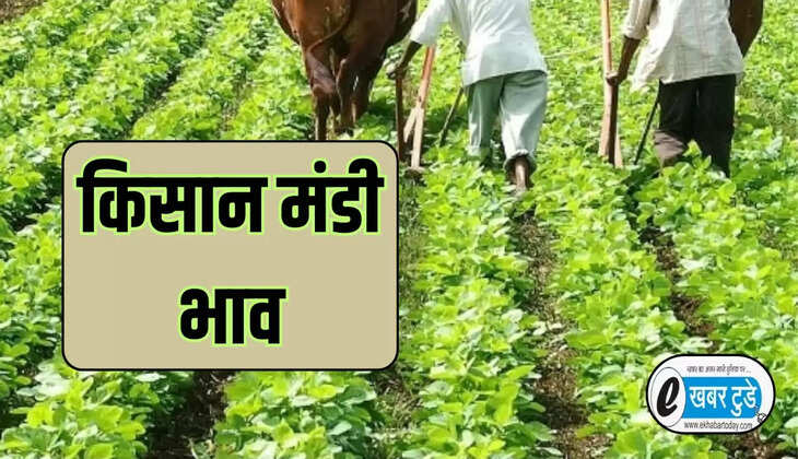 आज किसान मंडी भाव