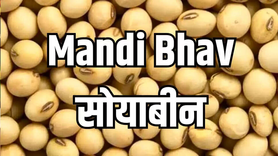 TODAY MANDI BHAV
