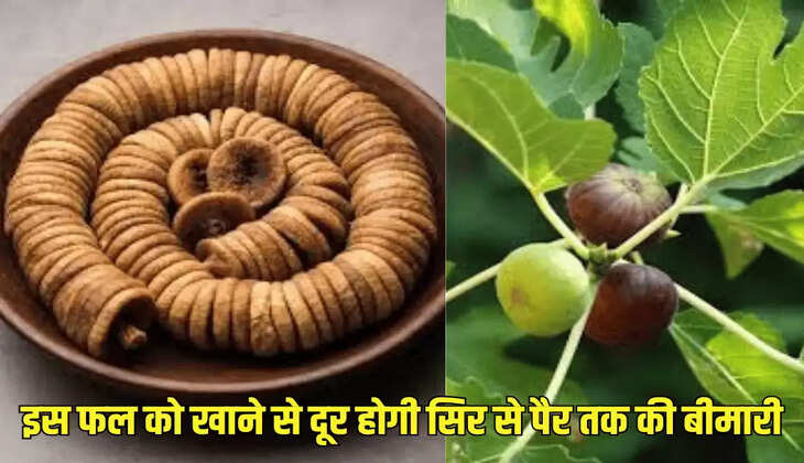 इस फल को खाने से दूर होगी सिर से पैर तक की बीमारी