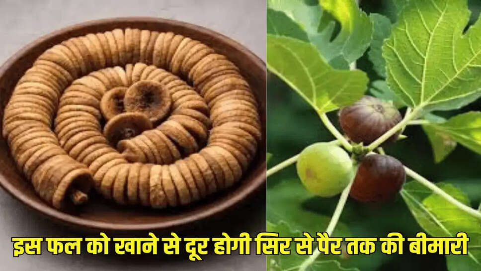 इस फल को खाने से दूर होगी सिर से पैर तक की बीमारी