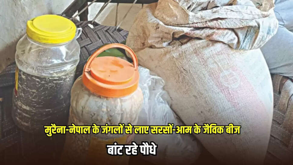 Damoh News